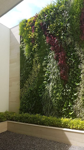 Muro verde instalado
