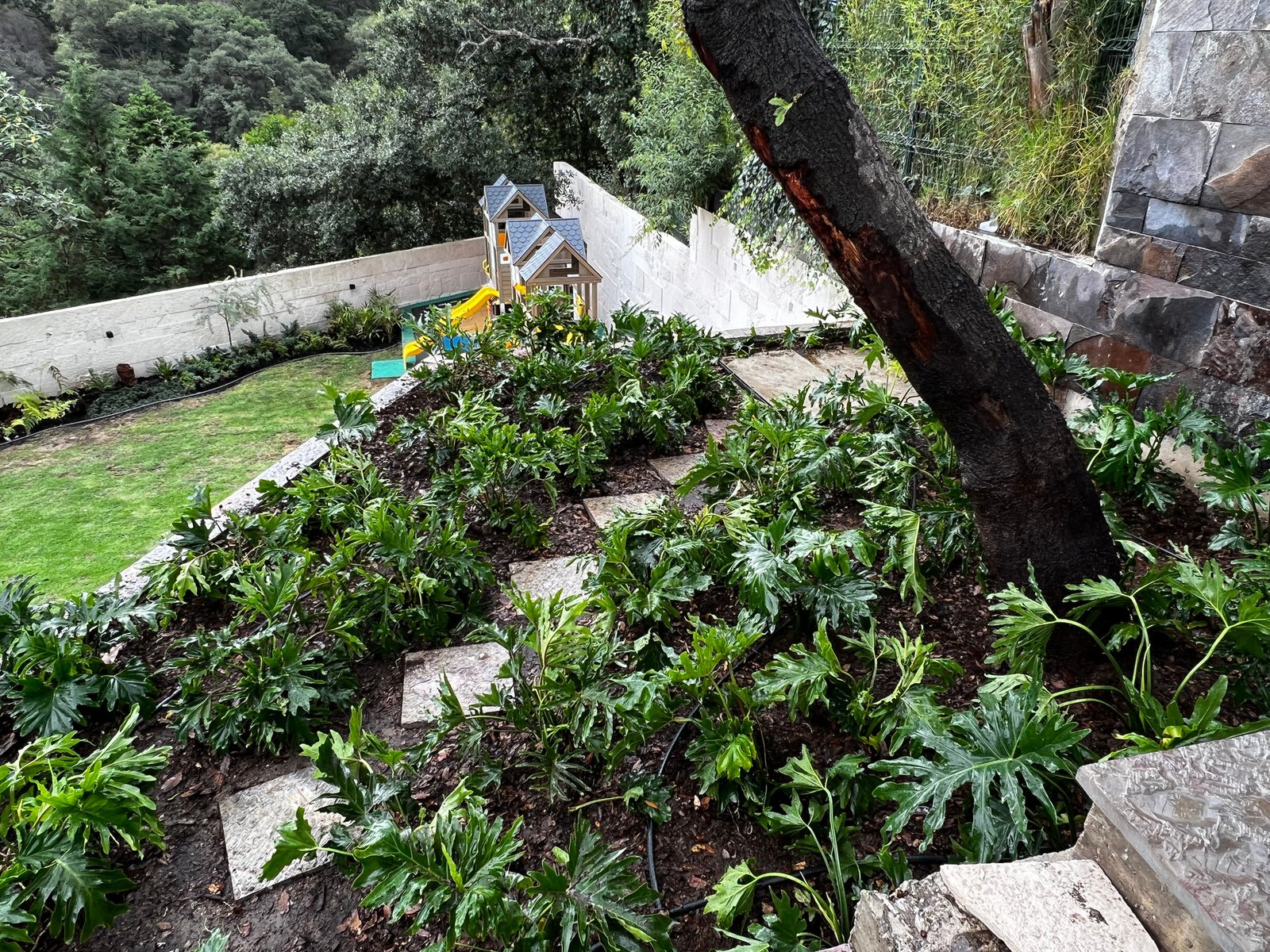 Plantación en proyecto residencial