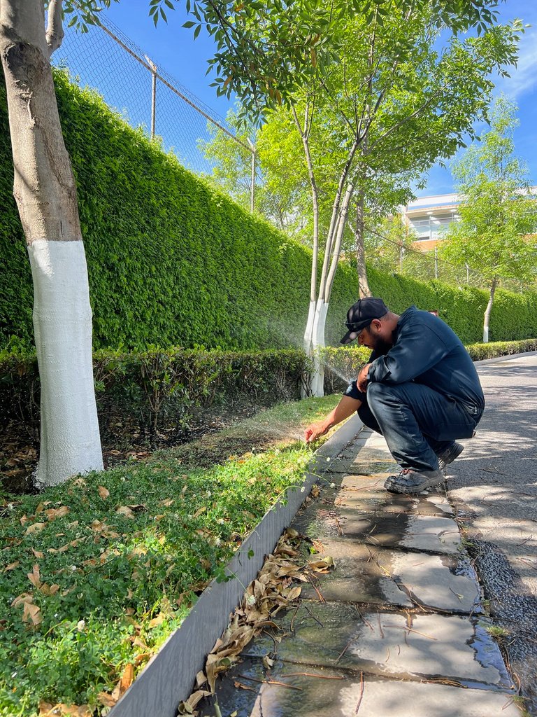 Mantenimiento de áreas verdes